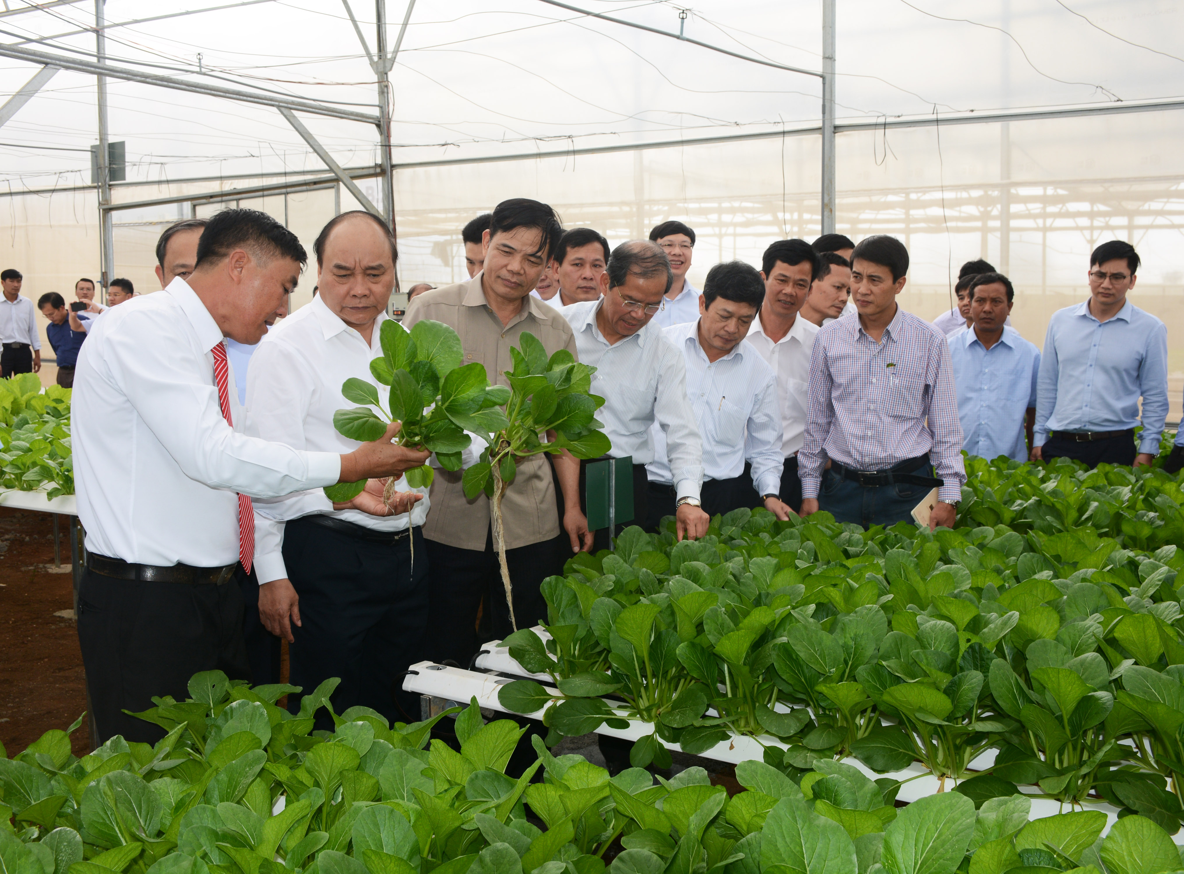 Thủ tướng Nguyễn Xuân Phúc chủ trì hội nghị thúc đẩy đầu tư vào nông nghiệp